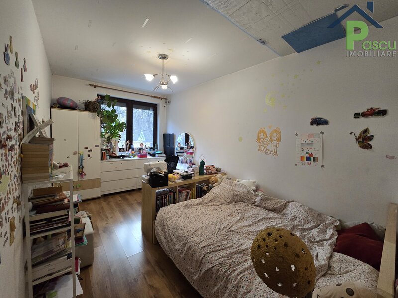 Brancoveanu, str. Alunisului