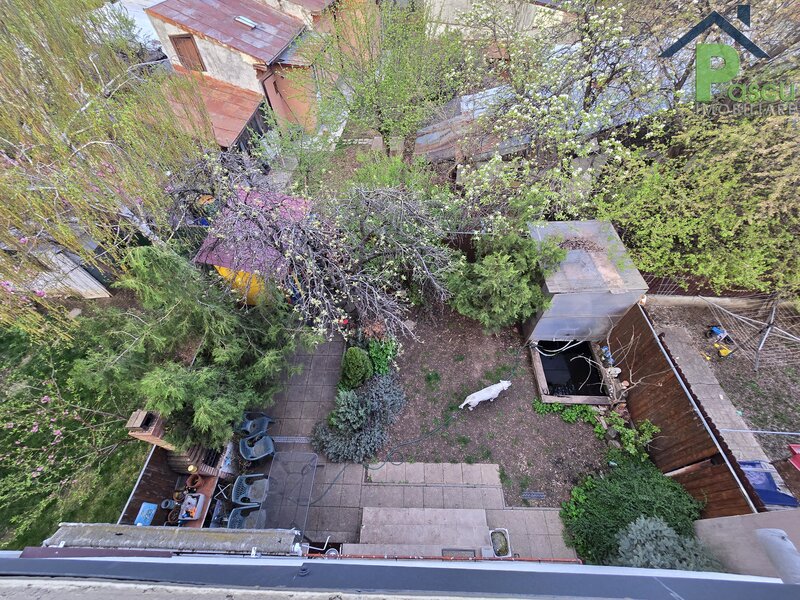 Brancoveanu, str. Alunisului